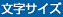 文字サイズ