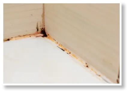 四隅の汚れが取れる前の画像