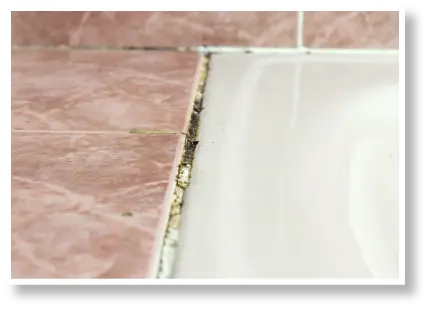 四隅の汚れが取れる前の画像